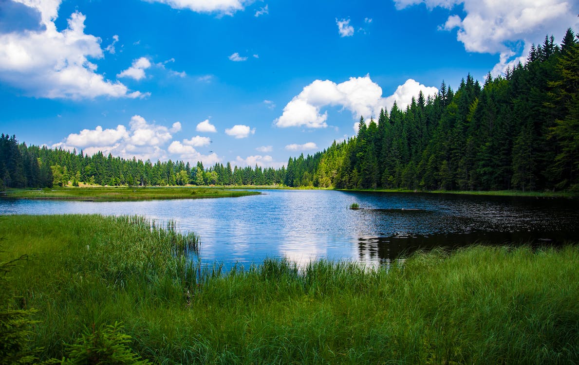 lago cerca de mi estados unidos